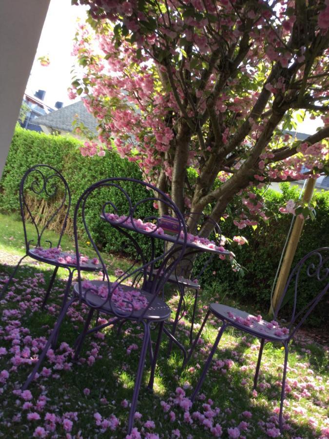 נמור B&B Superieur Villa Vanille מראה חיצוני תמונה